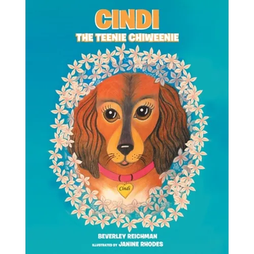 Cindi the Teenie Chiweenie