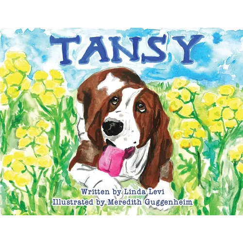 Tansy