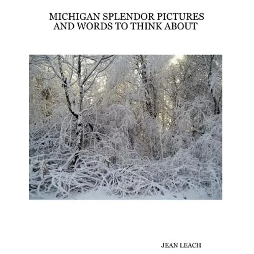 Michigan Splendor Pictures and Words to Think about