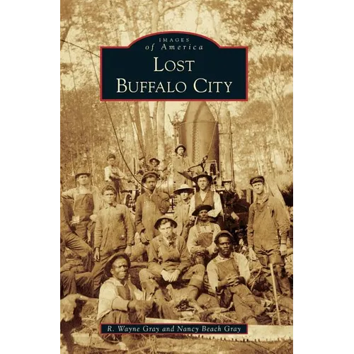Lost Buffalo City