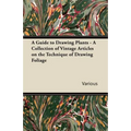 A Guide to Drawing Plants - A Collection of Vintage Articles on the Technique of Drawing Foliage