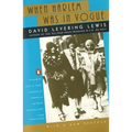 When Harlem Was in Vogue