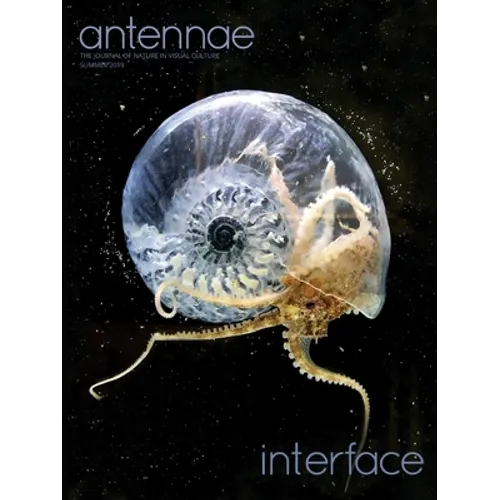 Antennae #48 Interface