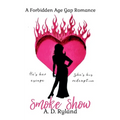 Smoke Show: A Forbidden Age Gap Romance