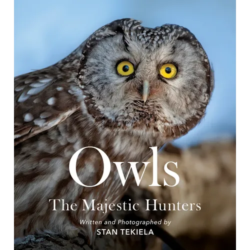 Owls: The Majestic Hunters