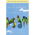The Wild Parrots of Telegraph Hill: A Love Story . . . with Wings