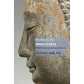 Introducing Mindfulness: Buddhist Background and Practical Exercises