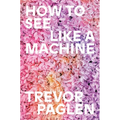 How to See Like a Machine: Images After AI