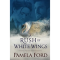 A Rush of White Wings: An Irish historical love story