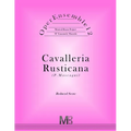 OperEnsemble12, Cavalleria Rusticana (P.Mascagni): Reduced Score