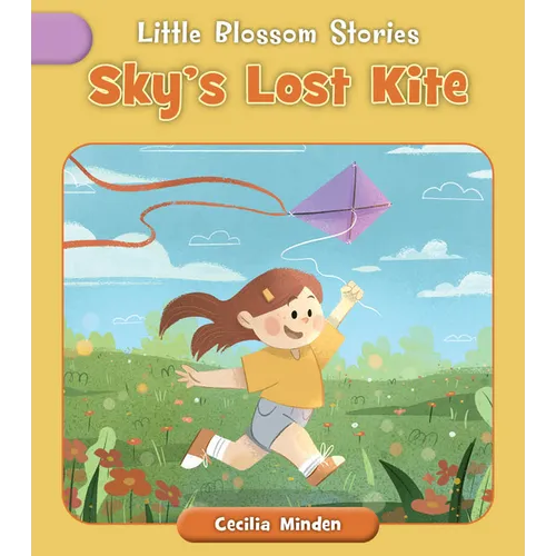 Sky's Lost Kite