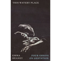 This Watery Place: Four Essays on Gestation