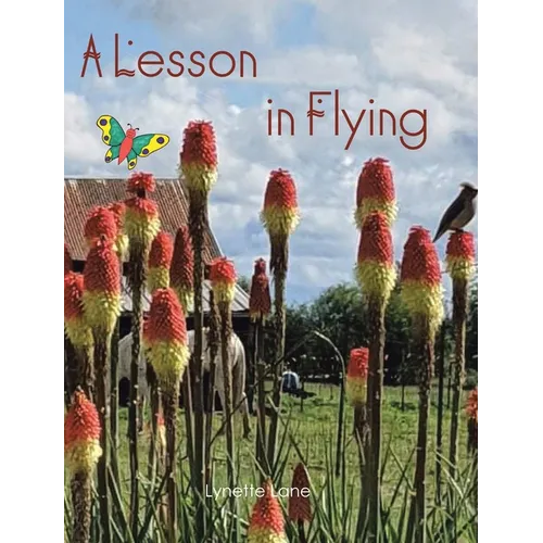 A Lesson in Flying