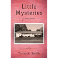 Little Mysteries: A Debut Novel