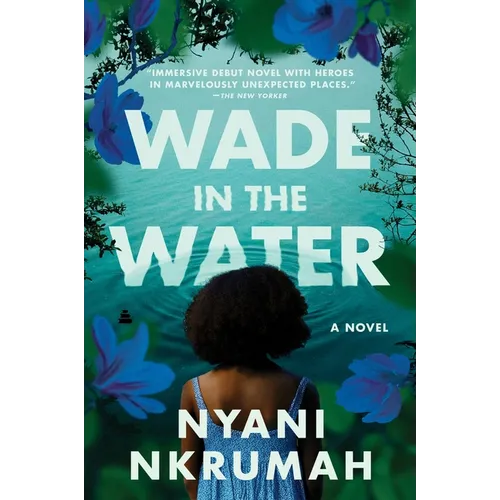 Wade in the Water