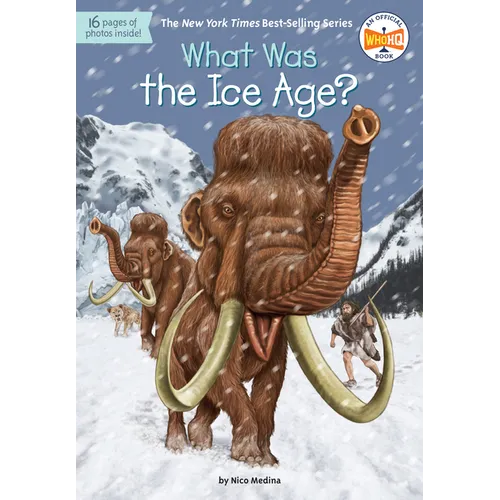 What Was the Ice Age?