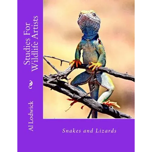 Snakes and Lizards: Studies For Wildlife Artista