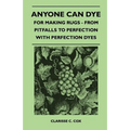 Anyone Can Dye - For Making Rugs - From Pitfalls to Perfection with Perfection Dyes