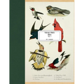 Vintage Prints: Birds: Vol. 7