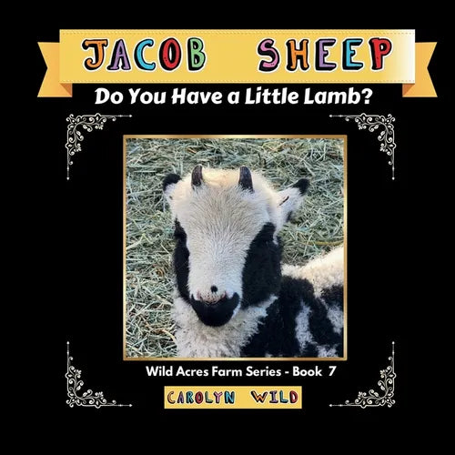 Jacob Sheep: Do You Have A Little Lamb?