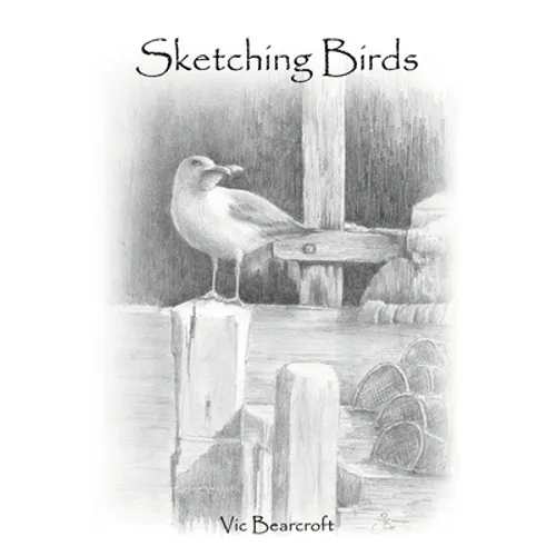 Sketching Birds