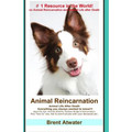 Animal Reincarnation: Everything You Always Wanted to Know! about Pet Reincarnation plus "how to" techniques to see, feel & communicate with