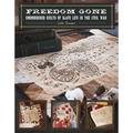 Freedom Gone: Embroidered Quilts of Slave Life in the Civil War