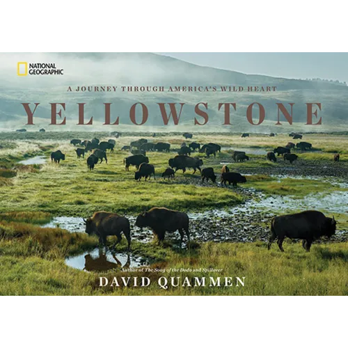 Yellowstone: A Journey Through America's Wild Heart