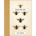 Vintage Prints: Bees