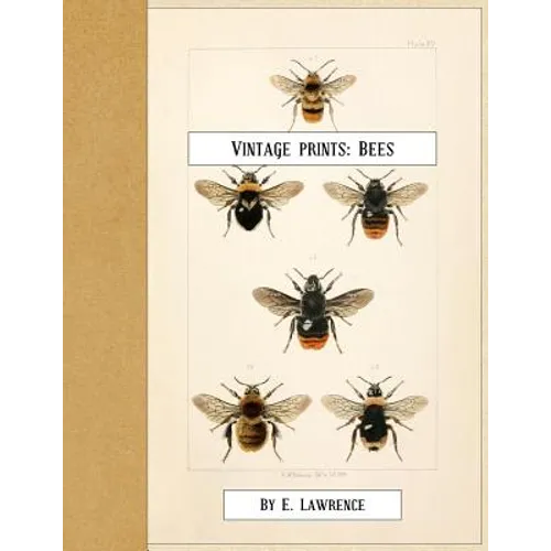 Vintage Prints: Bees