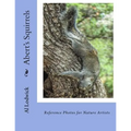 Abert's Squirrels: Reference Photos for Nature Artists