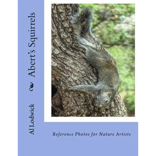 Abert's Squirrels: Reference Photos for Nature Artists