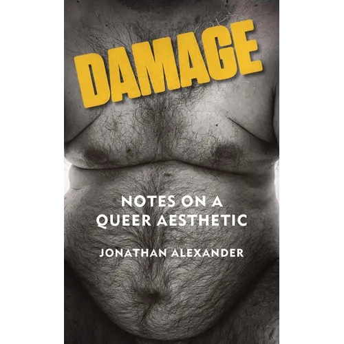Damage: Notes on a Queer Aesthetic