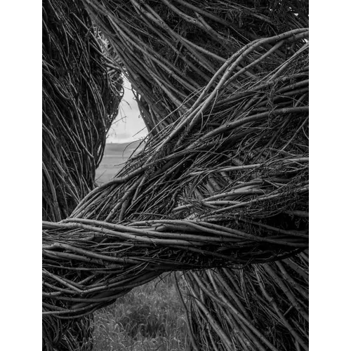 Patrick Dougherty James Florio: Sticks