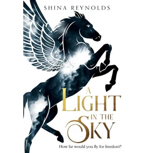 A Light in the Sky