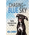 Chasing the Blue Sky