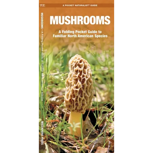 Mushrooms: An Introduction to Familiar North American Species