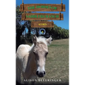 The Horses of Saddlers Ranch: Acorn