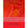 Jazz Fundamentals in Flamenco: Symmetrical Scales in Bass Clef