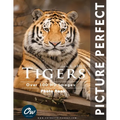 Tigers: Picture Perfect Photo Book