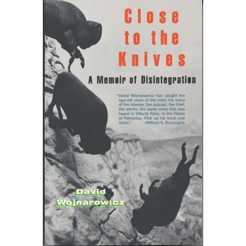 Close to the Knives: A Memoir of Disintegration