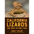 California Lizards and How to Find Them