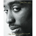 The Rose That Grew from Concrete