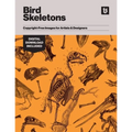Bird Skeletons: Copyright-Free Images for Artists & Designers