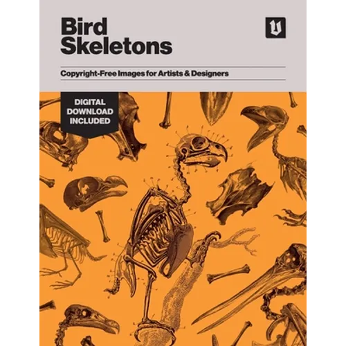 Bird Skeletons: Copyright-Free Images for Artists & Designers