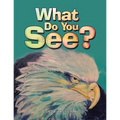 What Do You See?