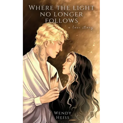 Where the light no longer follows: a novella