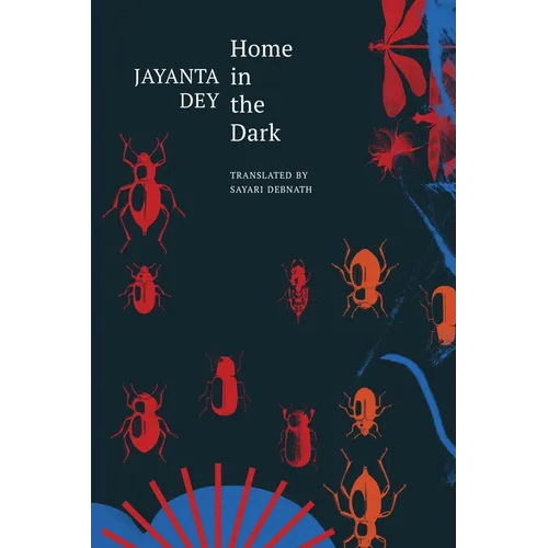 Home in the Dark: Selected Stories