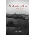 View from the North Ten: Poems After Mark Rothko's No. 15