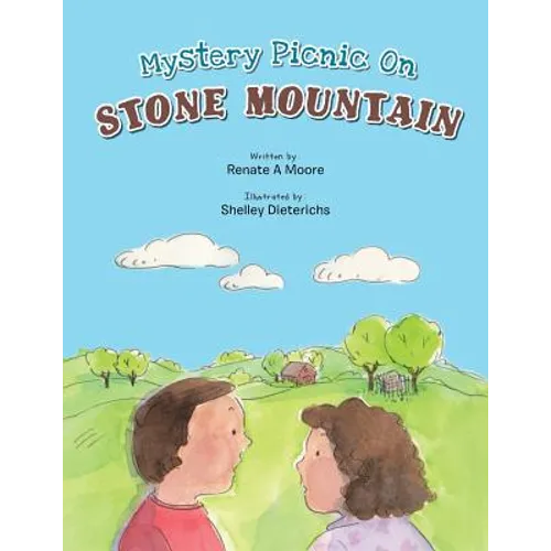 Mystery Picnic on Stone Mountain